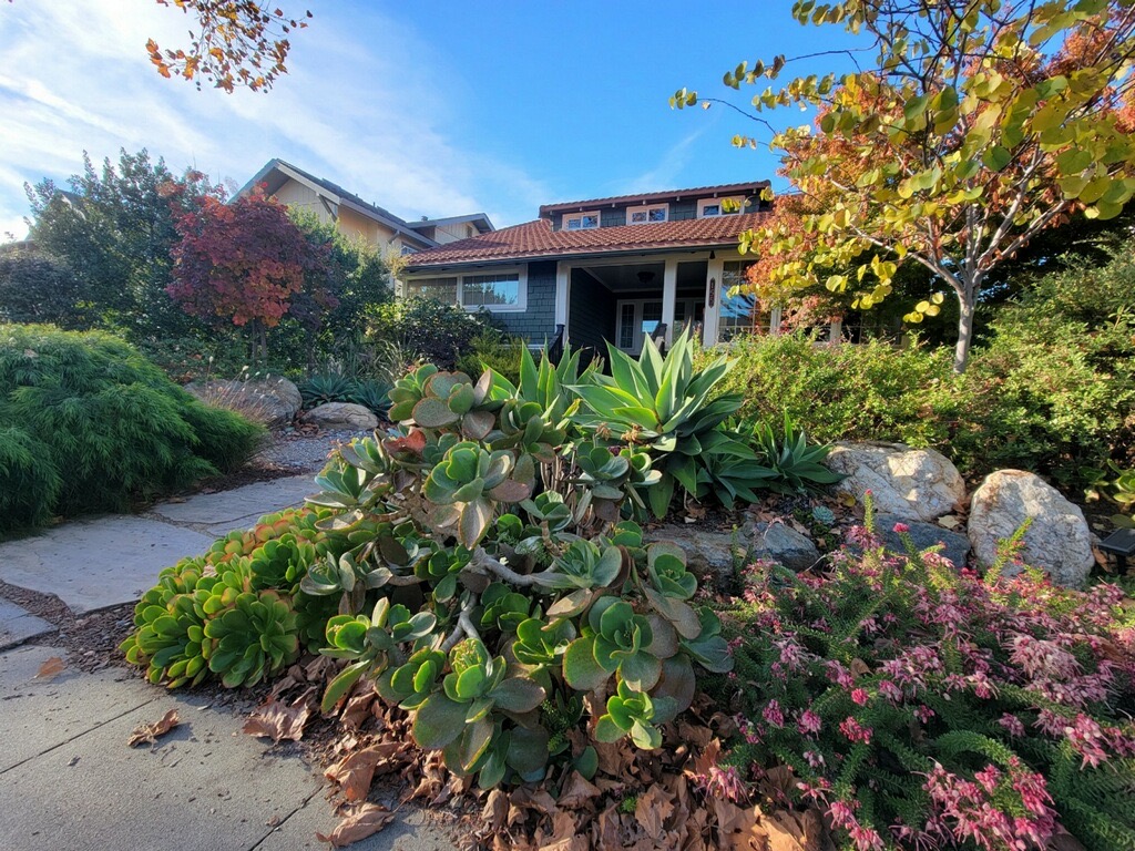 Featured image of Hayward Park, San Mateo, CA Neighborhood Page