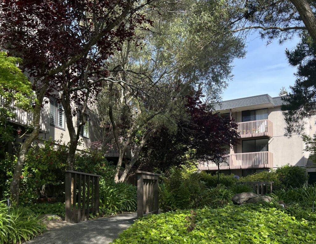 Featured image of Shelter Creek, San Bruno, CA Neighborhood Page