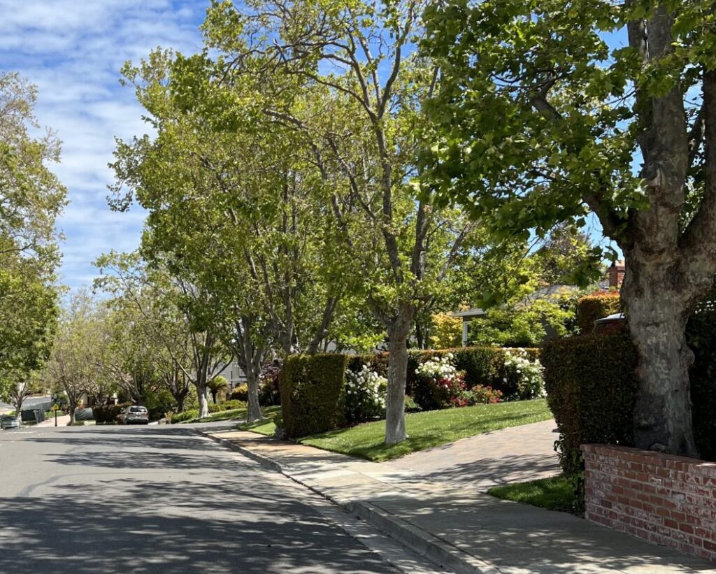 an image of the street view in Baywood Knolls, San Mateo, CA