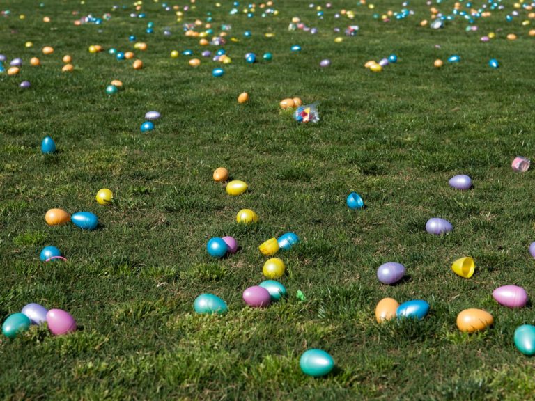 Easter Eggs Scattered in Grass for an Easter Egg Hunt
