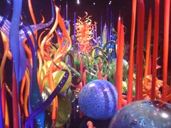 Glass Art Exhibit at De Young Museum in San Francisco, CA (Dale Chihuly)