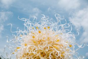 Dale Chihuly - Glass Artist - Royalty Free Stock Photography & Images