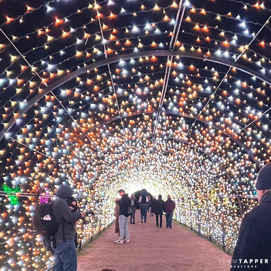 Filoli Tunnel of Lights