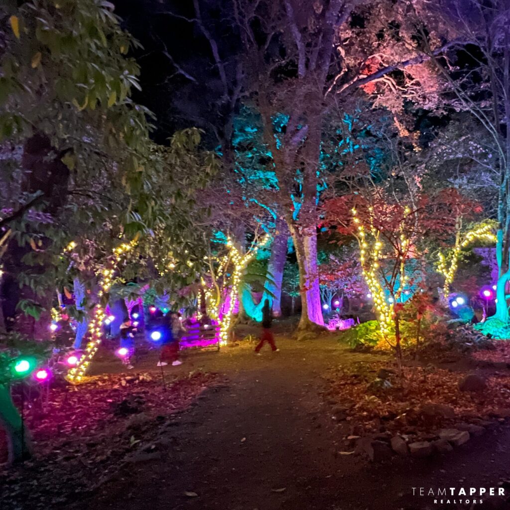 Tree Lights at Filoli