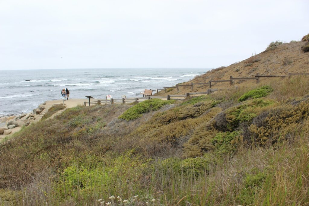 a couple of people standing on top of a hill next to the ocean