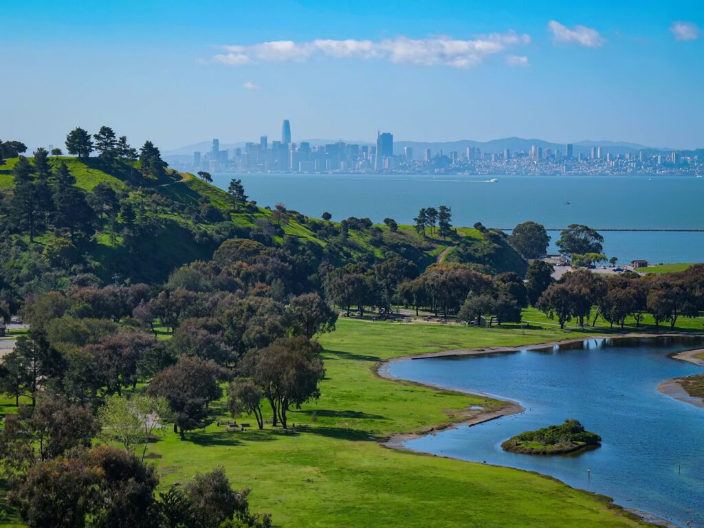 green park on sea shore with city behind